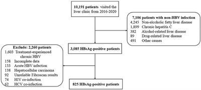 Frontiers | Assessment And Validation Of The TREAT-B Score To Assess ...